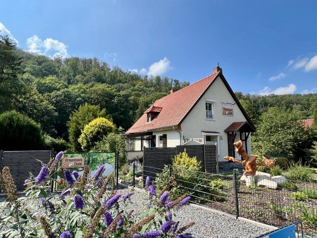 Traumhaus Thale Mit Sauna Und Kamin Eksteriør bilde